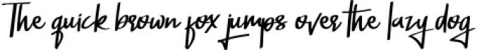 Sometime Handwritten Bold Font Font Preview