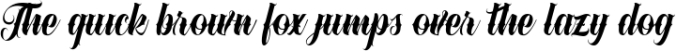 Dayles Script Fonts Font Preview