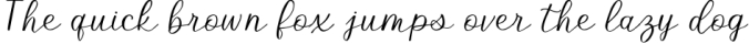 Illuminate - An Elegant and Modern Script Font Font Preview