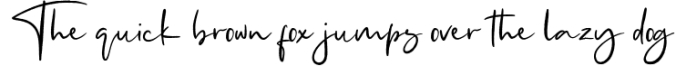 Santique Signature Script Font Font Preview