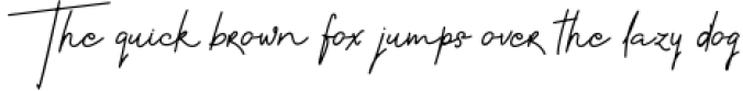 Hayley Signature Font Preview
