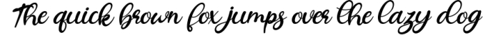 Reysha | Flower Script Font Font Preview