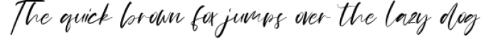 Monalls Script Signature Brush Font Font Preview