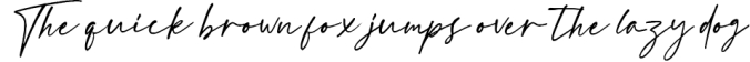 Taronis Signature Font Font Preview
