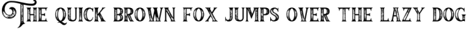 Barthez - Victorian Serif Font Font Preview