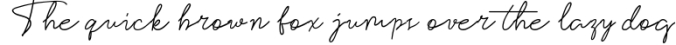 Violitta Signature typeface Font Preview