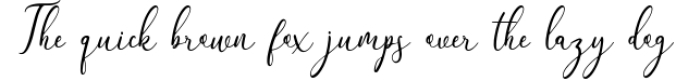 The Himalaya | beautiful handwriten Font Preview