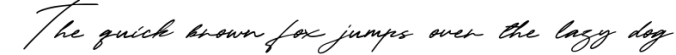 Taniya Relly - Luxury Signature Font Font Preview