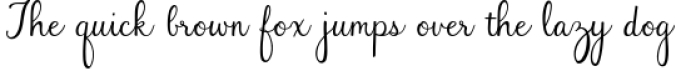 Faithfully - Hand Lettered Script Font Font Preview