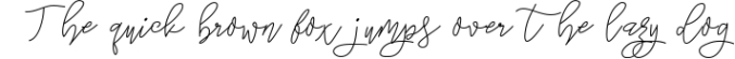 Lakehouse - Fancy Script Font Font Preview