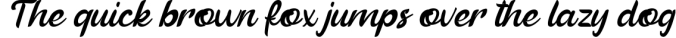 Beautiful Vibes - Bold Script Vintage Retro Font Font Preview