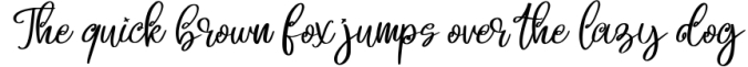 Beligo Cary | Curly Script Font Font Preview