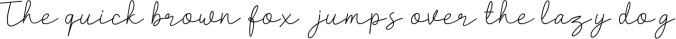 Clarisa Script Font Font Preview