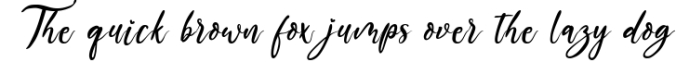 The Austin - Handwritten Script Font Font Preview