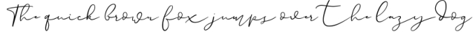 Paulina Elegance Script Font Font Preview