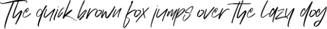 Crake - Brush SVG Font Font Preview