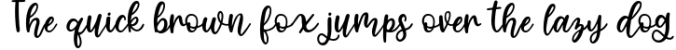 Four Hand Lettered Fonts Bundle by Jordyn Alison Designs Font Preview