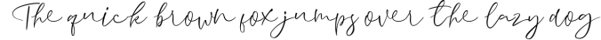 Aussiente Signature - Script Font Preview