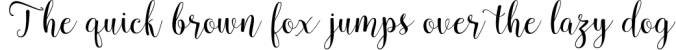 Pradyse Script Font Preview