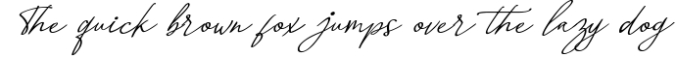 Big Lost | Vintage Signature Font Font Preview
