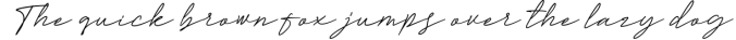 Mini Bundle | The Best Signature Calligraphy Font Font Preview
