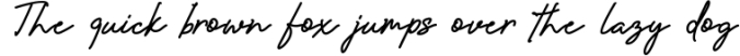 Amanda - Signature Monoline Font Font Preview