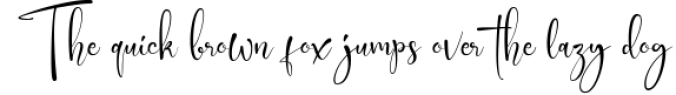 Solvetta - Beautiful Signature Font Font Preview