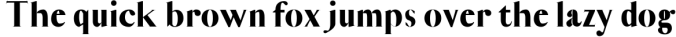 Jerrad Beautiful Serif Font Family Font Preview