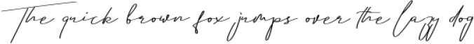 Aletheia | A Handwritten Signature Font Font Preview