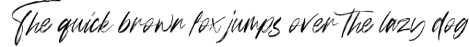 Follower Handwritten Brush Font Font Preview