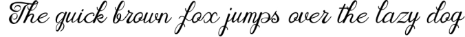 Houston Handwritten Font Font Preview