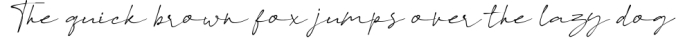 Paragon Luxury Signature Font Font Preview