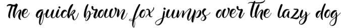 Summer Beach Handwriting Font Font Preview