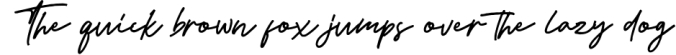 Sociere - Elegant Signature Font Font Preview