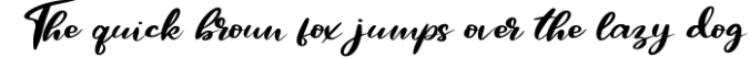 Qors | Minimalism Script Font Font Preview