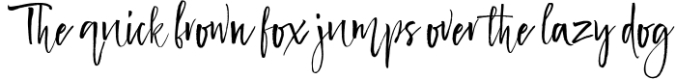 Delicious Brush Font Font Preview