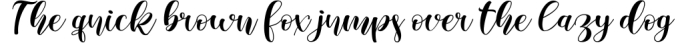 Ambien Script Font Preview