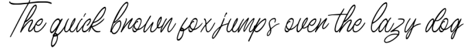 Birdspring Signature Font Preview