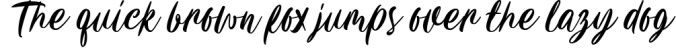 Carily Modern Script Font Preview