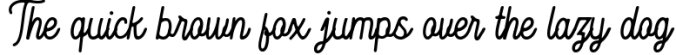 Hesland Vintage Script Font Font Preview
