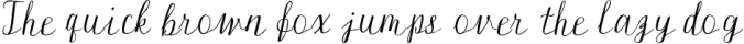 Silex. Modern calligraphy Font Preview