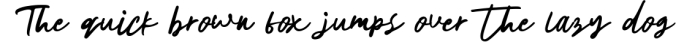The Horizontal Signature Font Font Preview