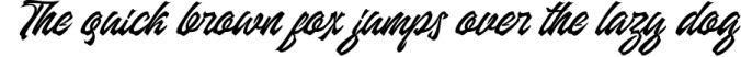 Manhattan Brush - Ink Script Font Font Preview