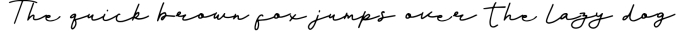 Fanastiko - A Lovely Signature Font Font Preview