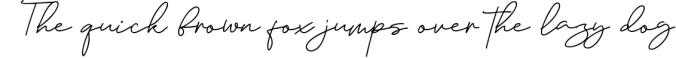 Janethville - Signature Font Font Preview