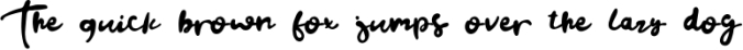 Briefly Script Font Preview