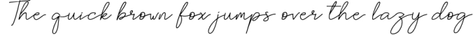 Brittney Signature - Beauty Fonts Font Preview