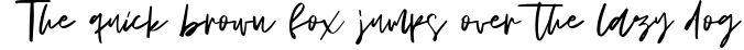 POCKET BUNDLE 10 IN 1 SUPER SALE Font Preview