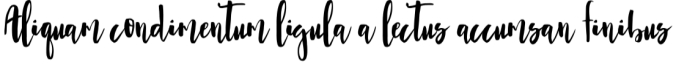 Allysa Script Font Preview