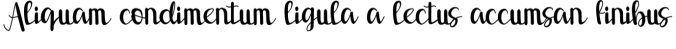 Salsabila Font Preview